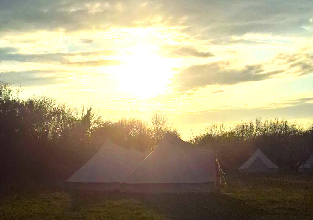 Low sun over the glampsite.